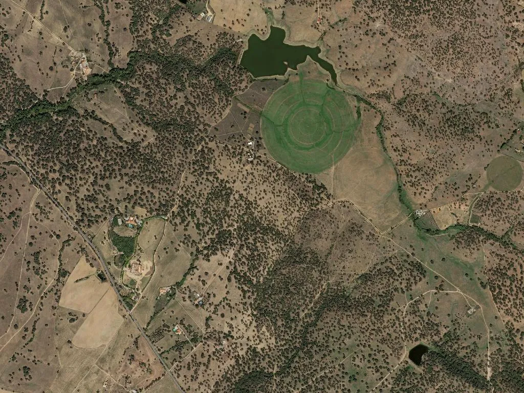 Nossa Senhora do Bispo