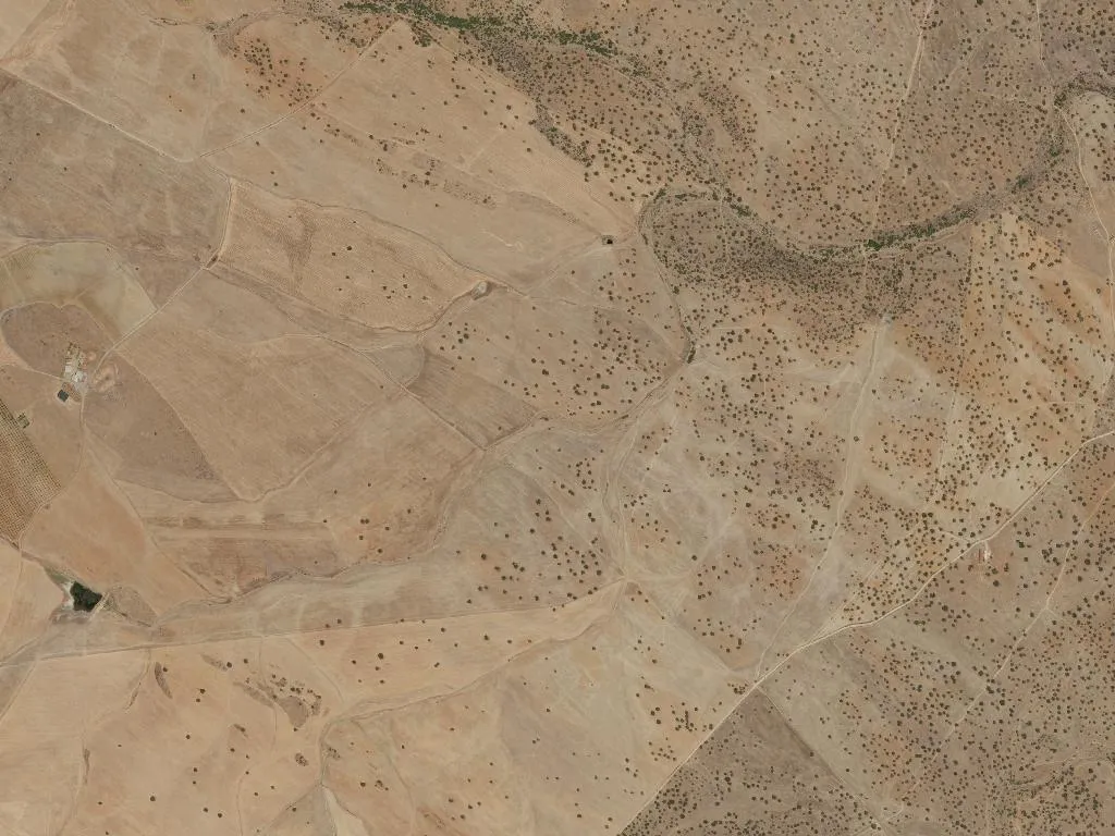 União das freguesias de Campo e Campinho