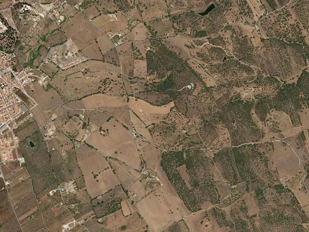 Nossa Senhora da Conceição e São Bartolomeu