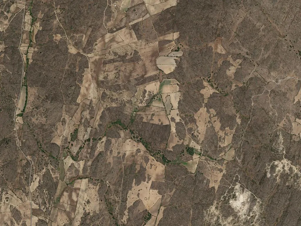 União das freguesias de Algodres, Vale de Afonsinho e Vilar de Amargo