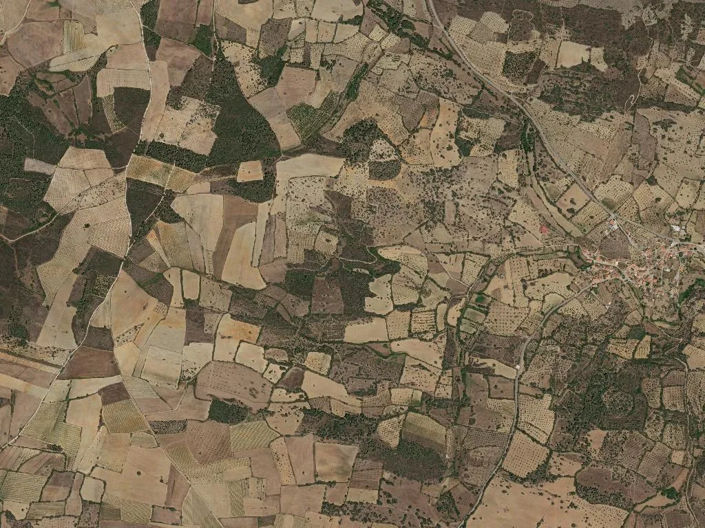 União das freguesias de Almofala e Escarigo