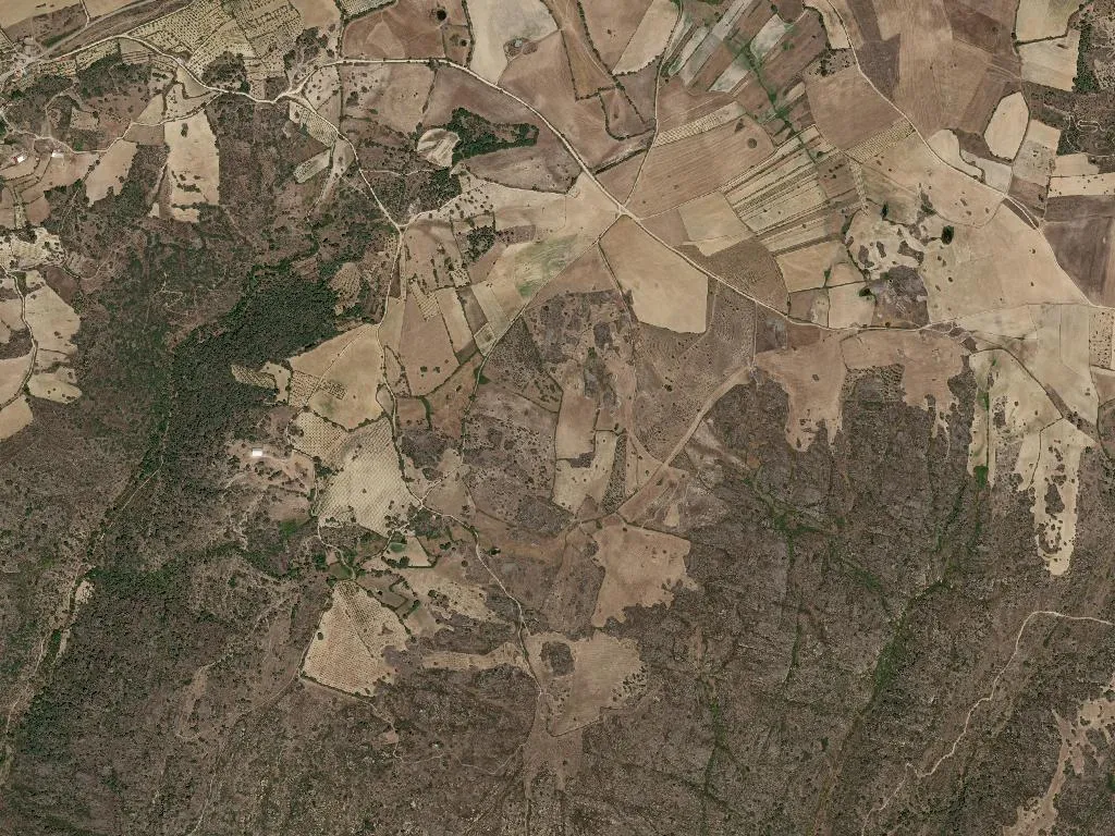 União das freguesias de Cinco Vilas e Reigada