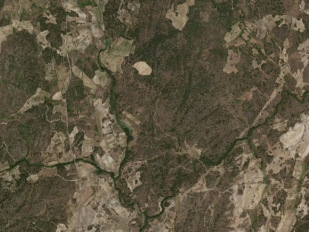 União das freguesias de Vale Flor, Carvalhal e Pai Penela