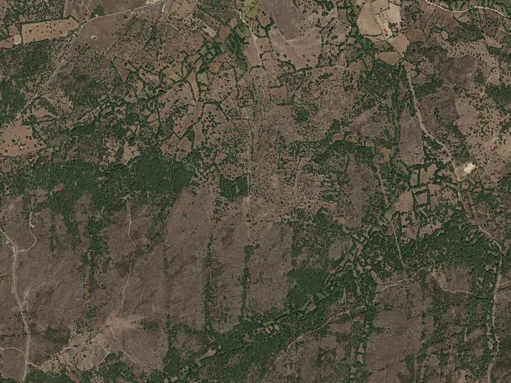 União das freguesias de Lajeosa e Forcalhos