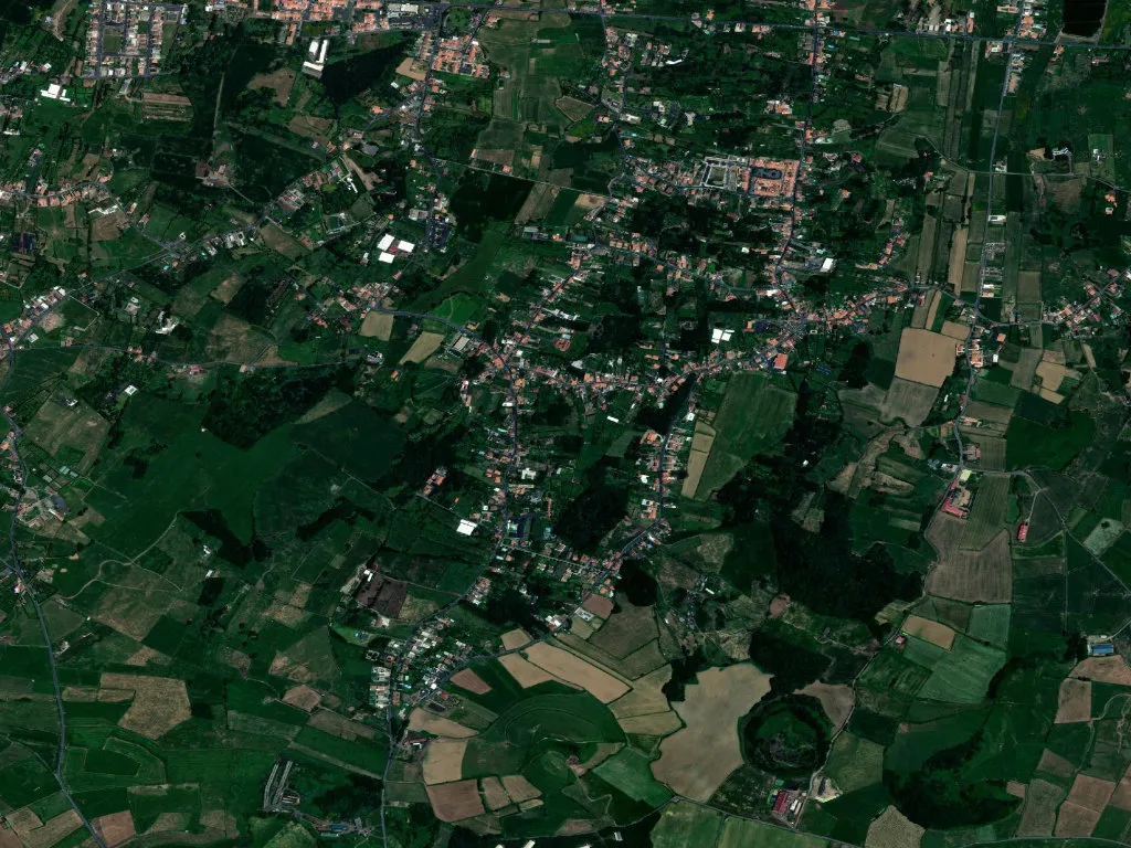 São Vicente Ferreira