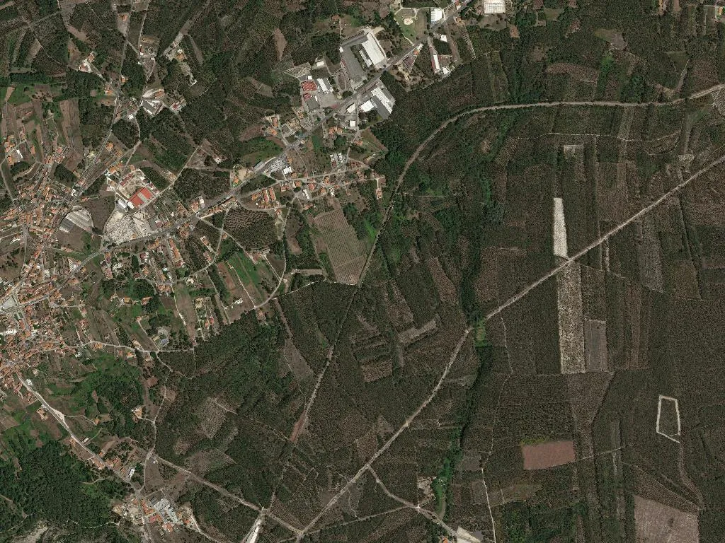 União das freguesias de Pataias e Martingança