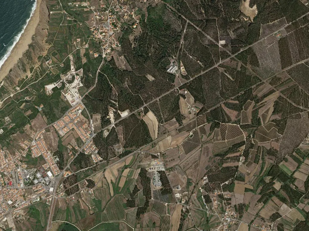 São Martinho do Porto