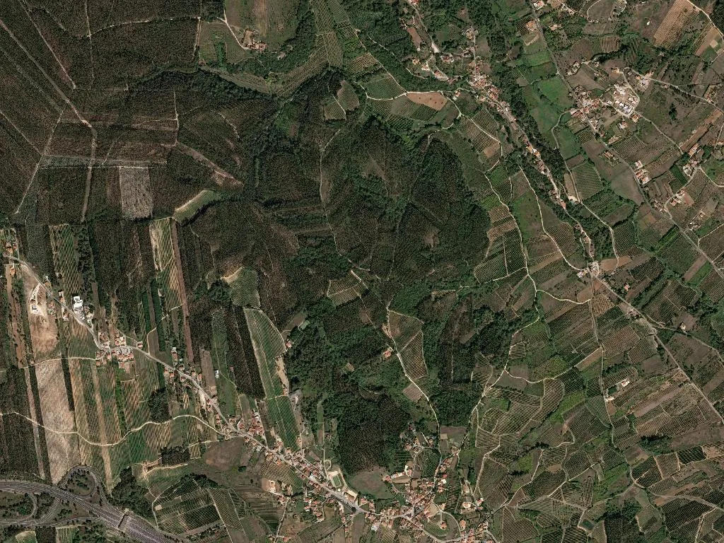 União das freguesias de Caldas da Rainha - Nossa Senhora do Pópulo, Coto e São Gregório