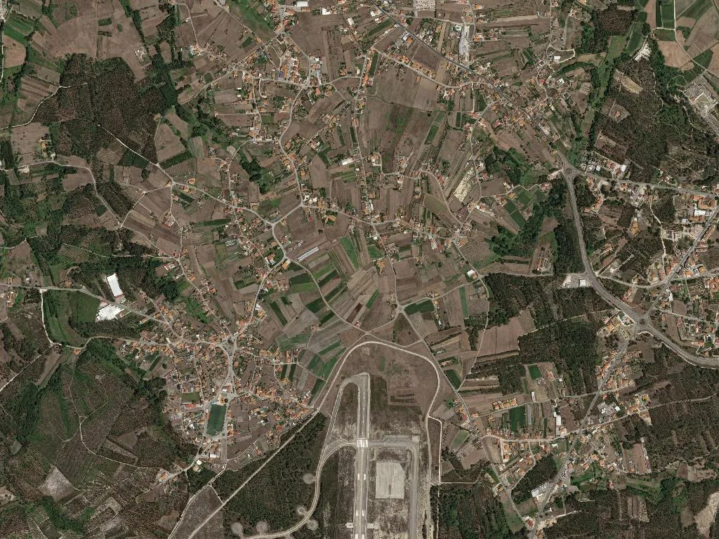 União das freguesias de Monte Real e Carvide