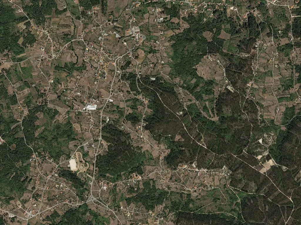 São Simão de Litém