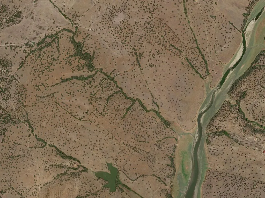 União das freguesias de Benavila e Valongo