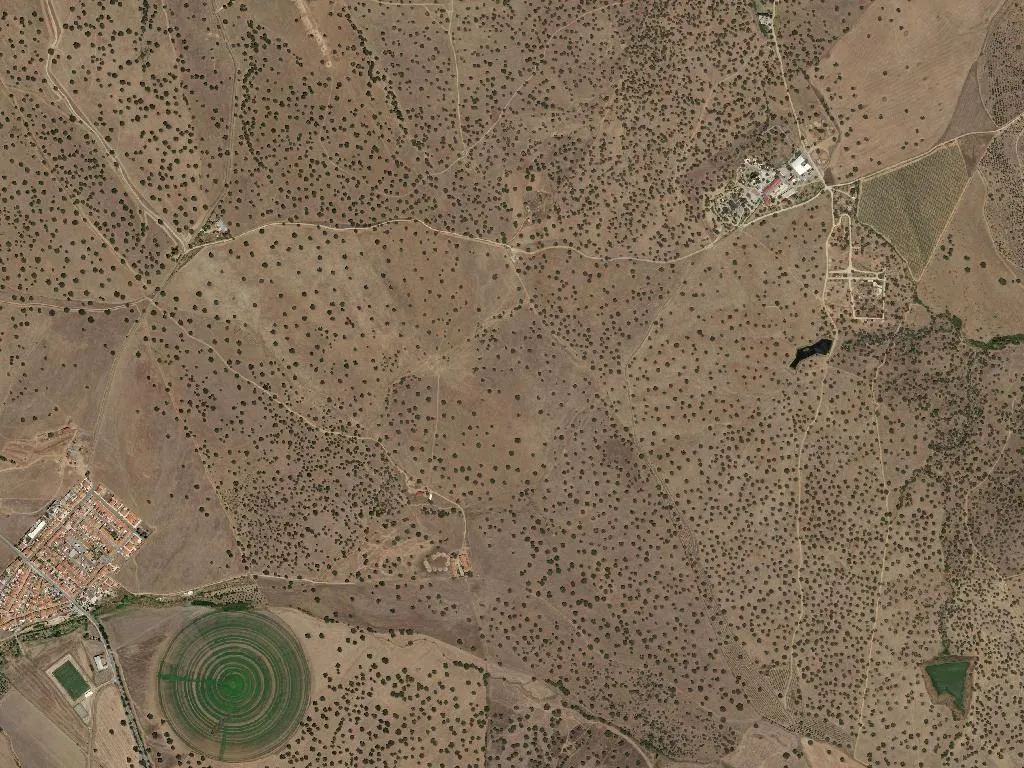 Nossa Senhora da Graça dos Degolados