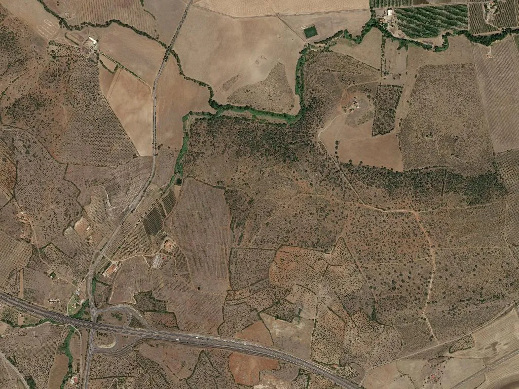 Caia, São Pedro e Alcáçova