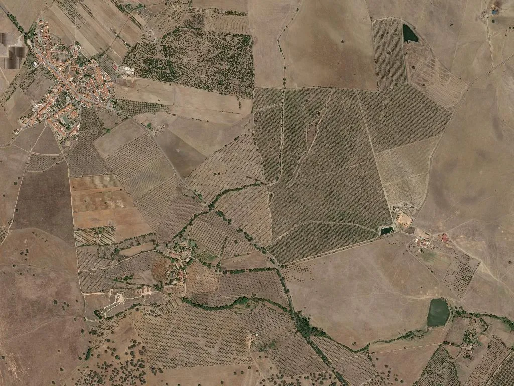 São Vicente e Ventosa