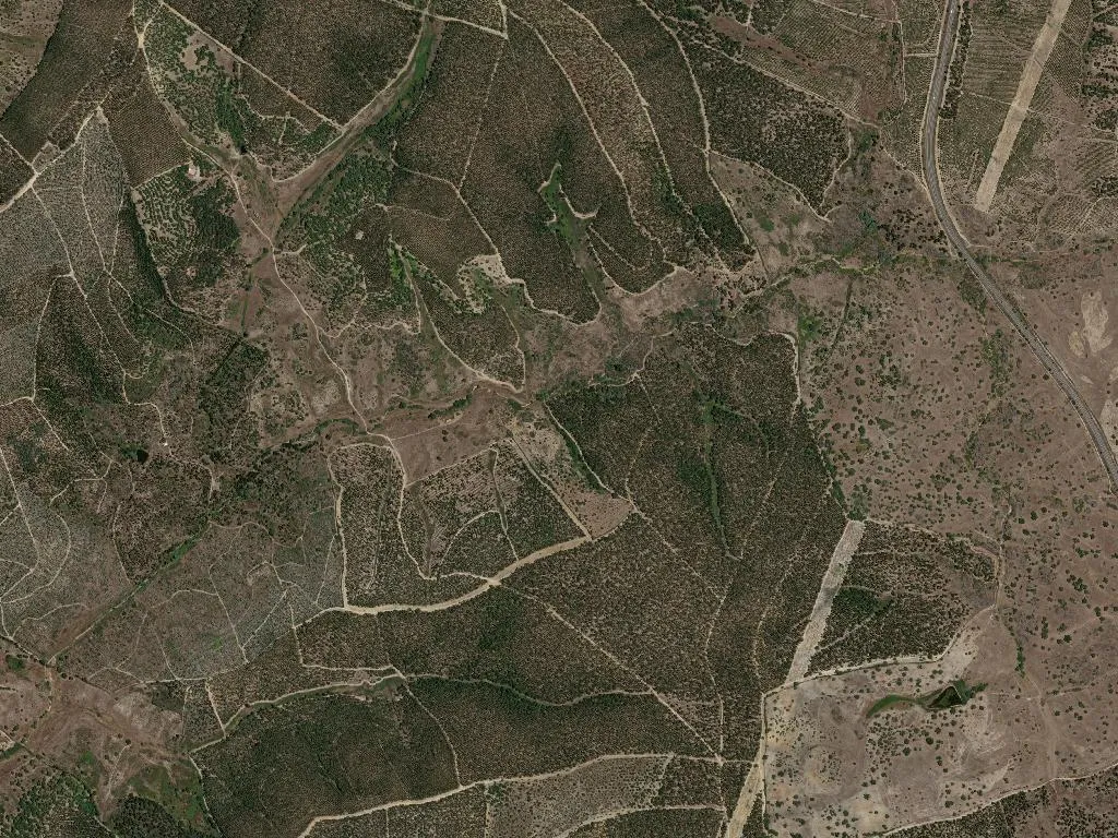 União das freguesias de Arez e Amieira do Tejo