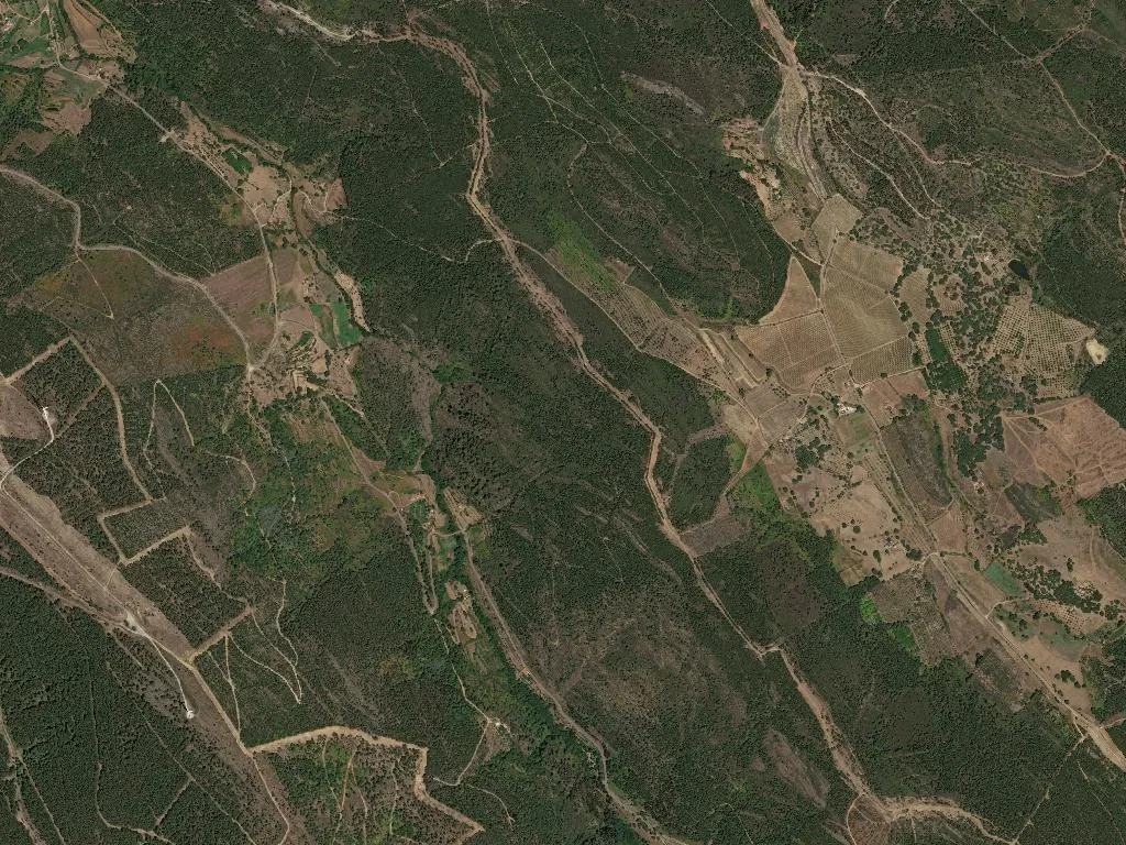 União das freguesias de Reguengo e São Julião