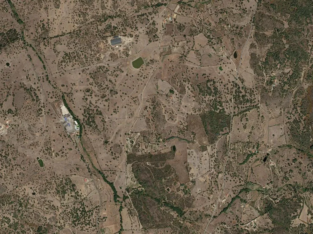 União das freguesias de Ribeira de Nisa e Carreiras