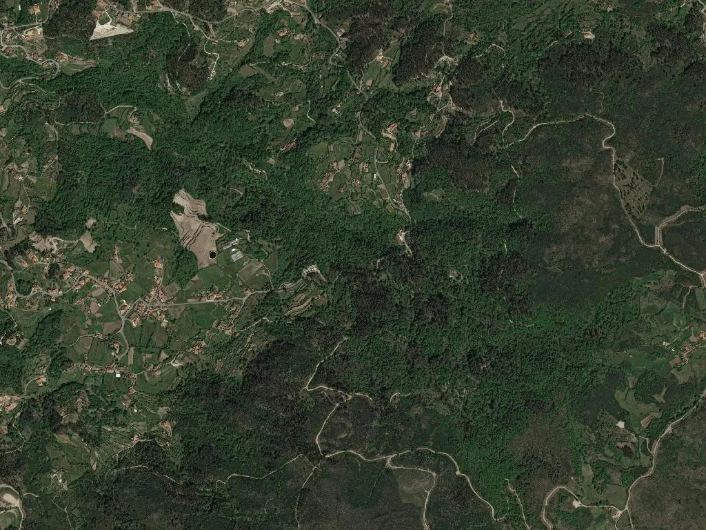 Gouveia (São Simão)