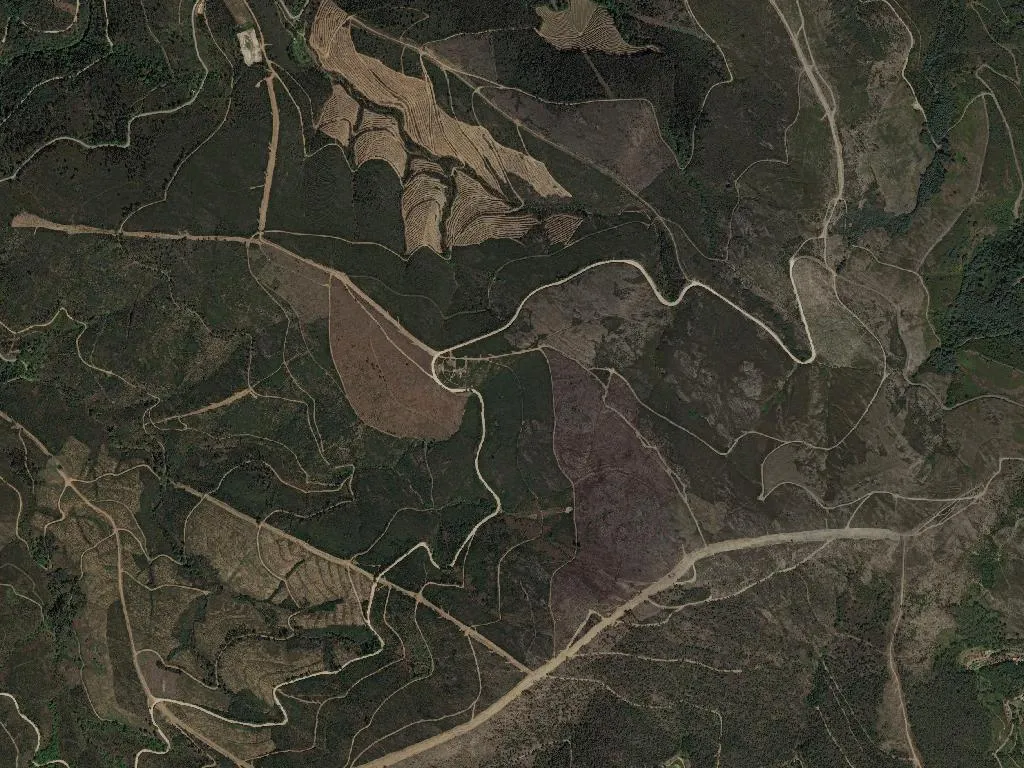 União das freguesias de Olo e Canadelo