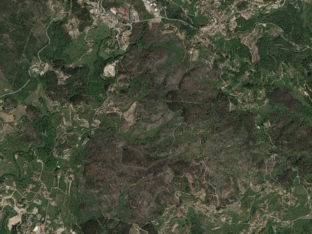 União das freguesias de Ancede e Ribadouro