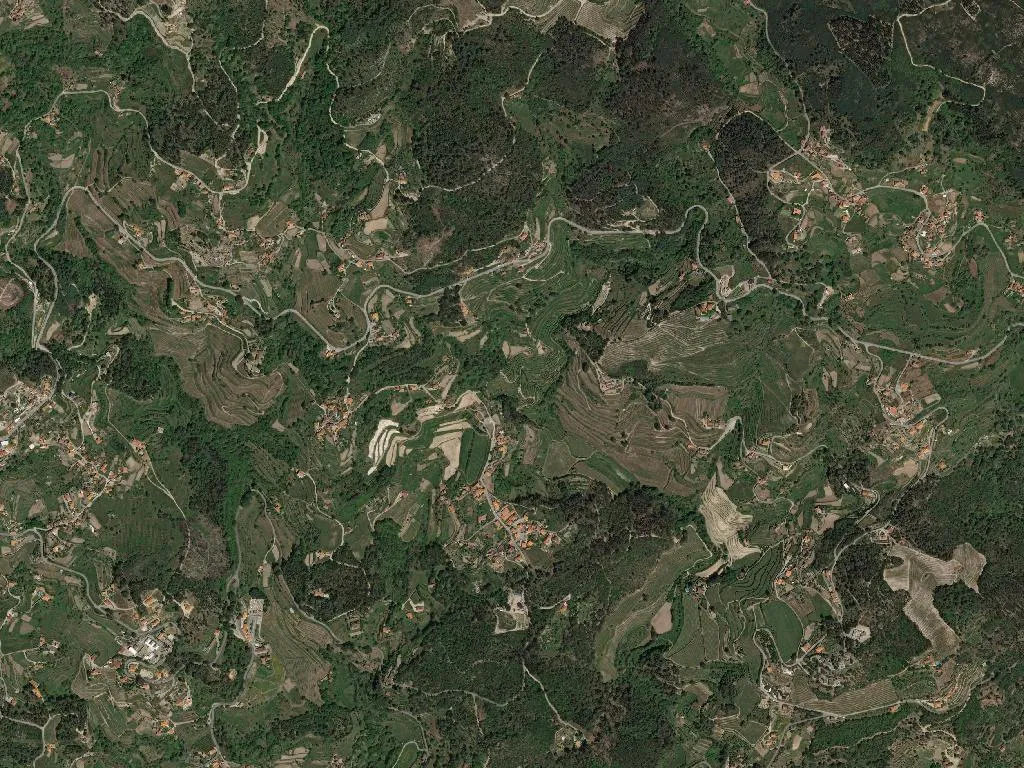 União das freguesias de Santa Cruz do Douro e São Tomé de Covelas