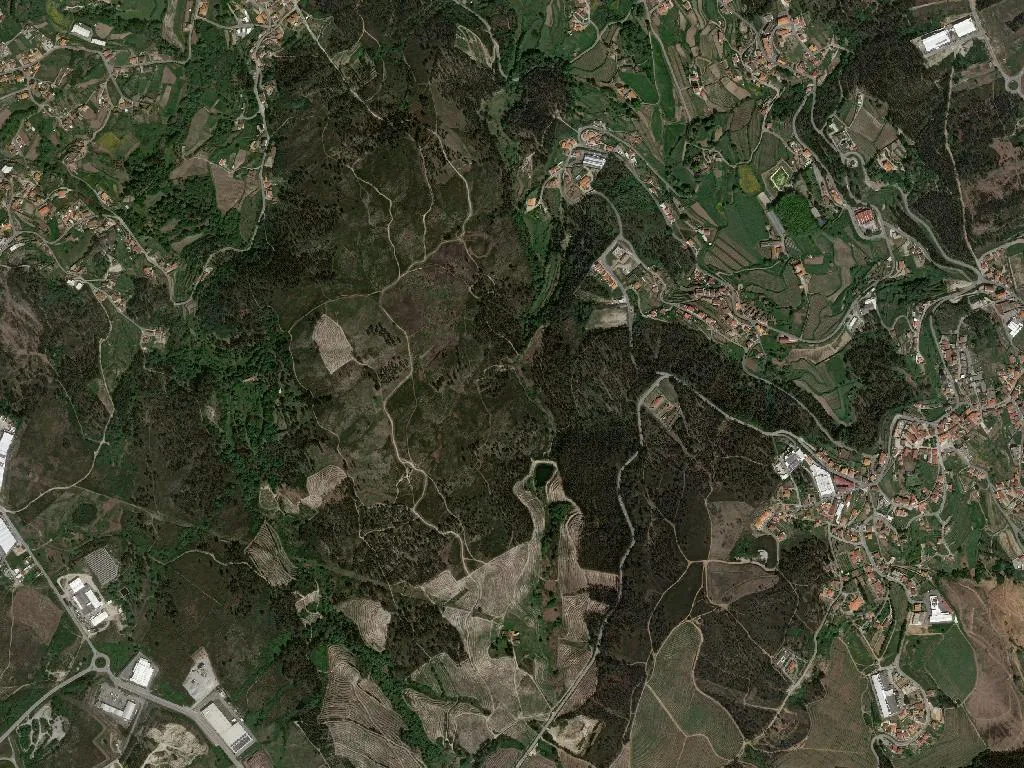 Barrosas (Santo Estêvão)