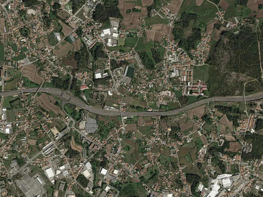 Nogueira e Silva Escura