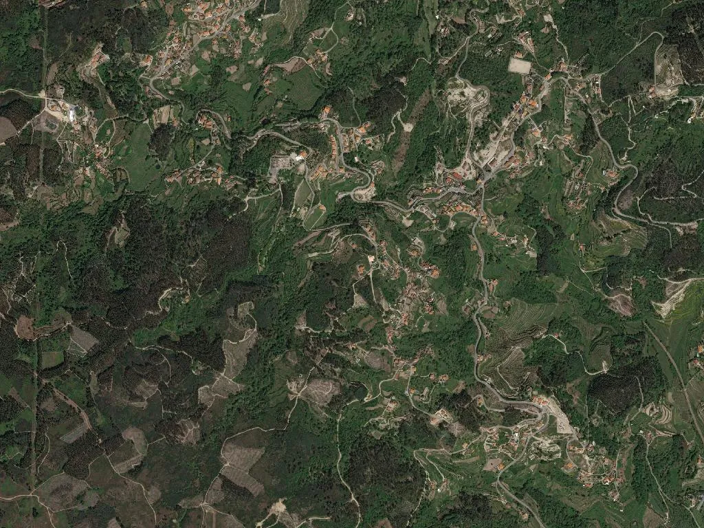 Paredes de Viadores e Manhuncelos