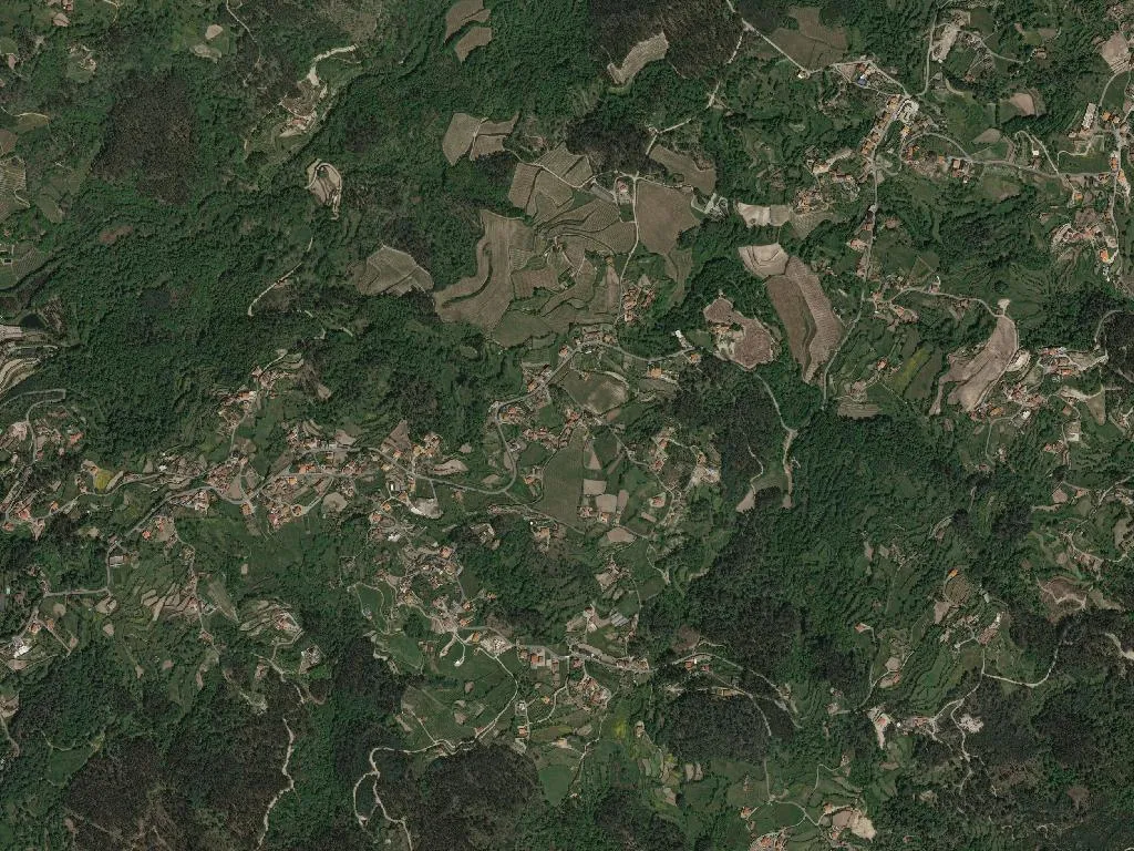 Várzea, Aliviada e Folhada