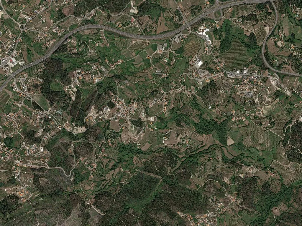 Recezinhos (São Martinho)