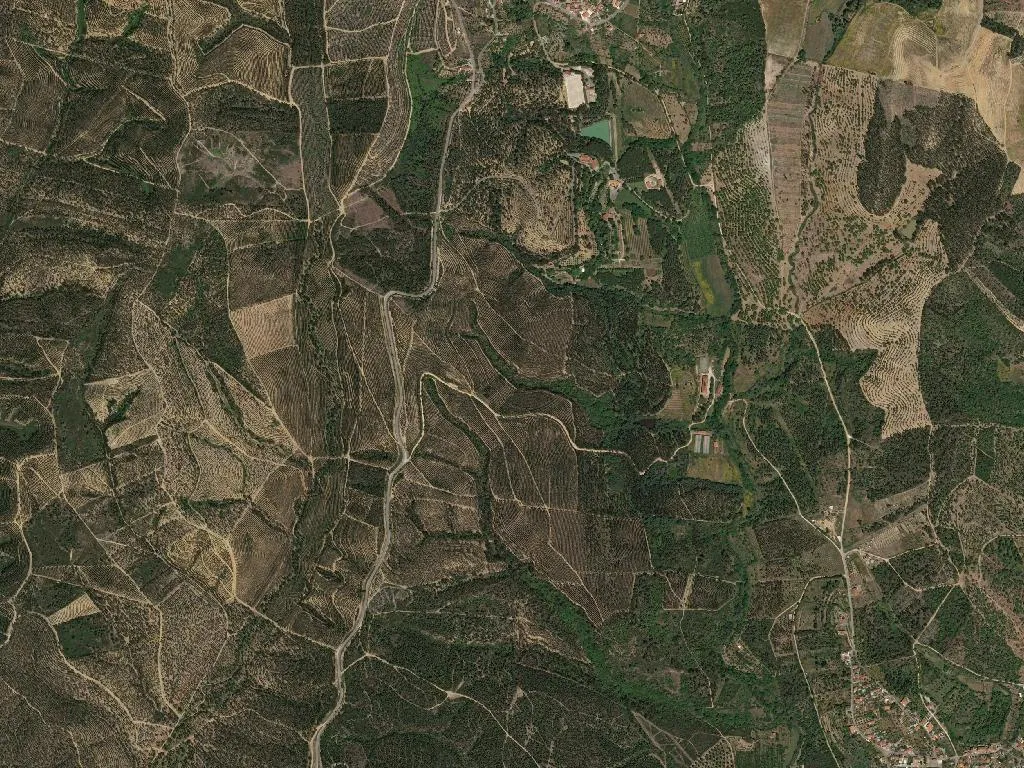 União das freguesias de Abrantes (São Vicente e São João) e Alferrarede