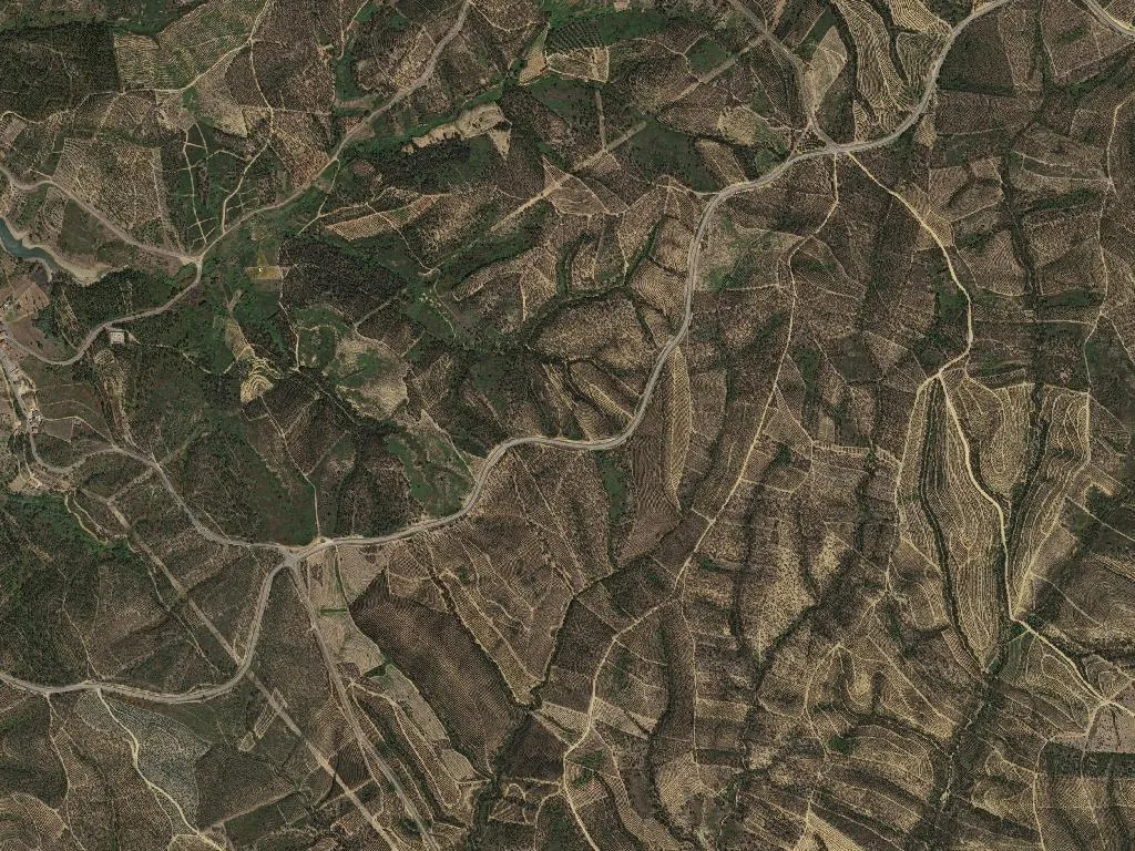 União das freguesias de Aldeia do Mato e Souto