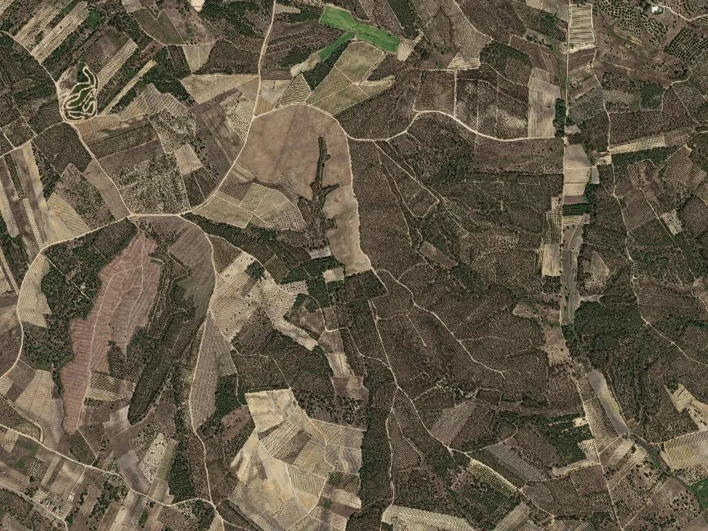 Fazendas de Almeirim