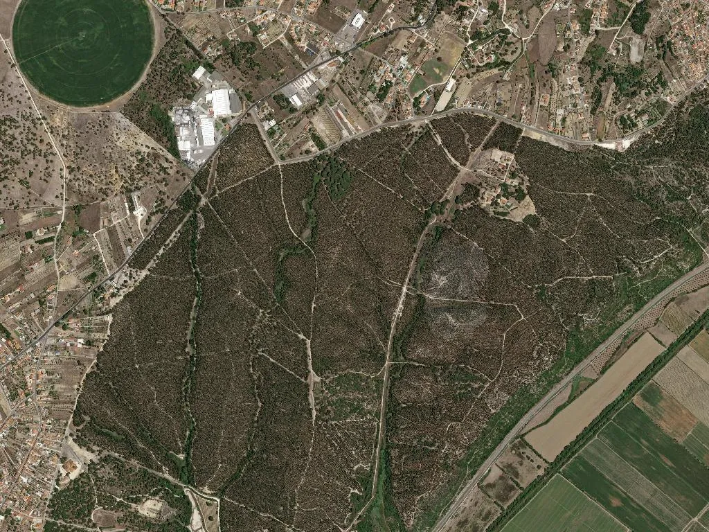 Vila Chã de Ourique