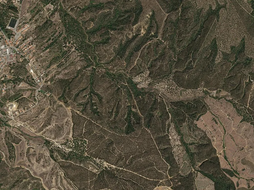 União das freguesias da Chamusca e Pinheiro Grande