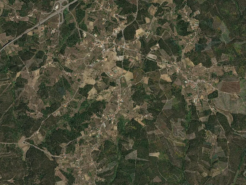 Igreja Nova do Sobral