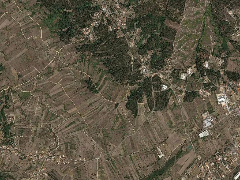 Nossa Senhora das Misericórdias