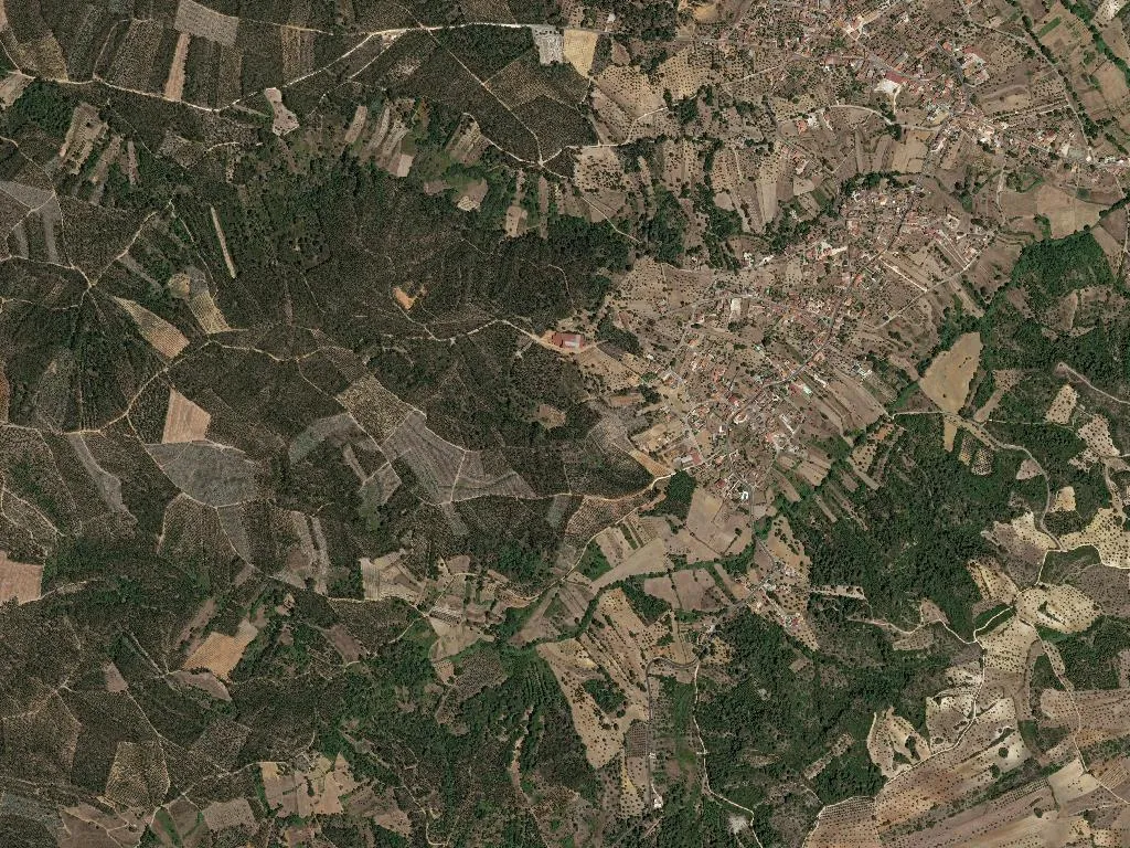 Arneiro das Milhariças