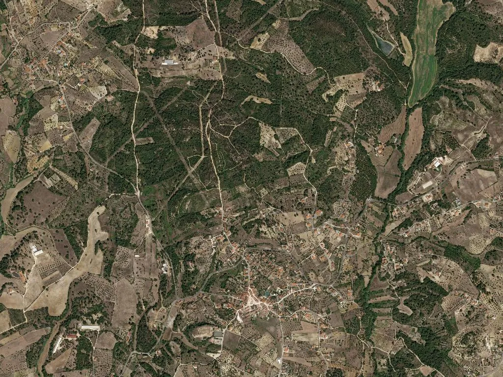 União das freguesias de Madalena e Beselga