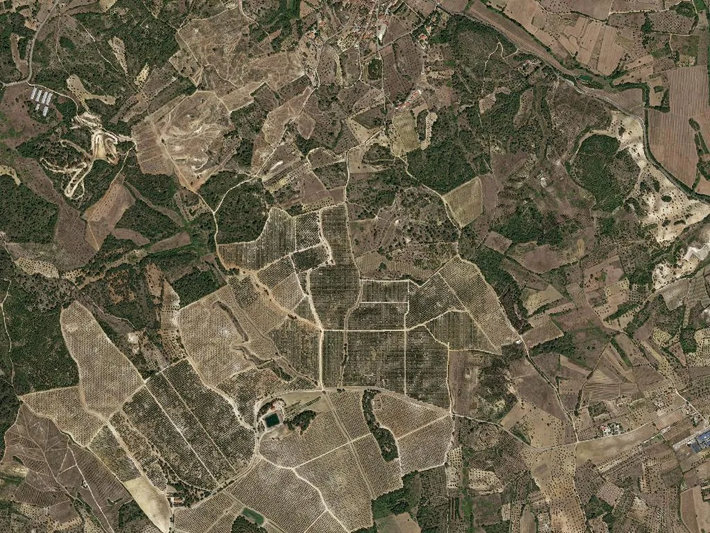 União das freguesias de Olaia e Paço