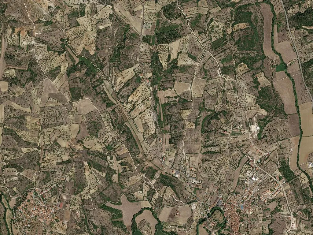 União das freguesias de Torres Novas (São Pedro), Lapas e Ribeira Branca