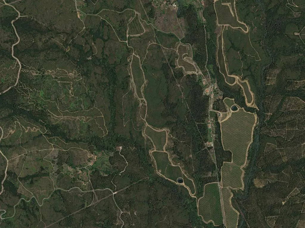 Cabração e Moreira do Lima