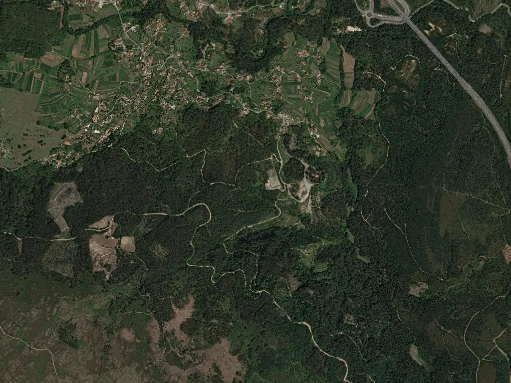 Freixieiro de Soutelo