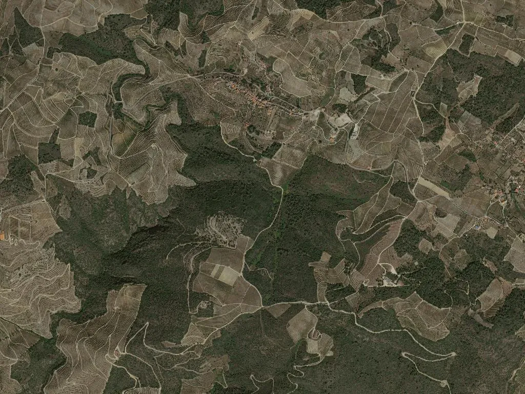 União das freguesias de Castedo e Cotas