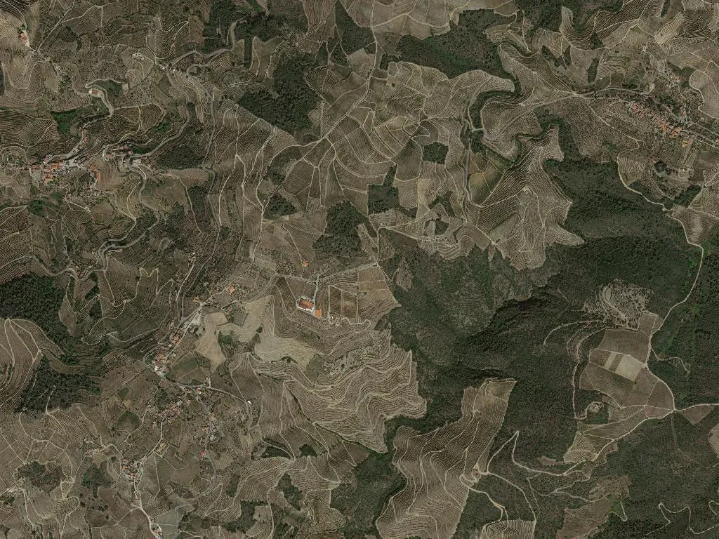 União das freguesias de Vale de Mendiz, Casal de Loivos e Vilarinho de Cotas