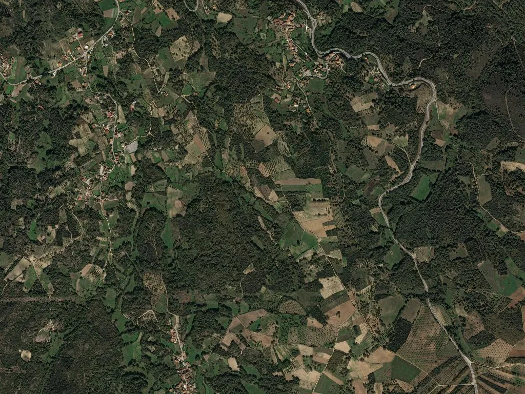 União das freguesias das Eiras, São Julião de Montenegro e Cela