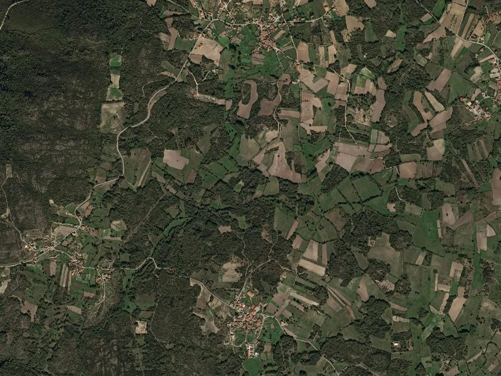 Nogueira da Montanha