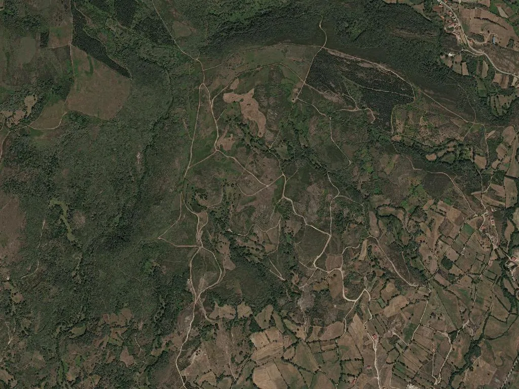 União das freguesias de Montalegre e Padroso