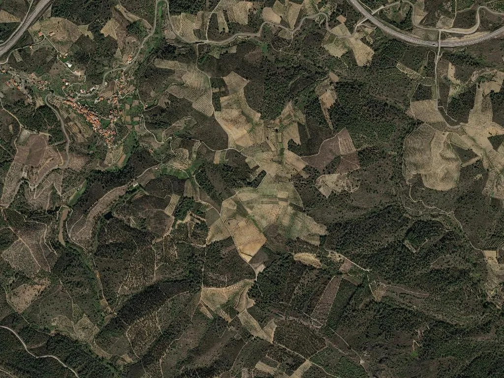 União das freguesias de Noura e Palheiros