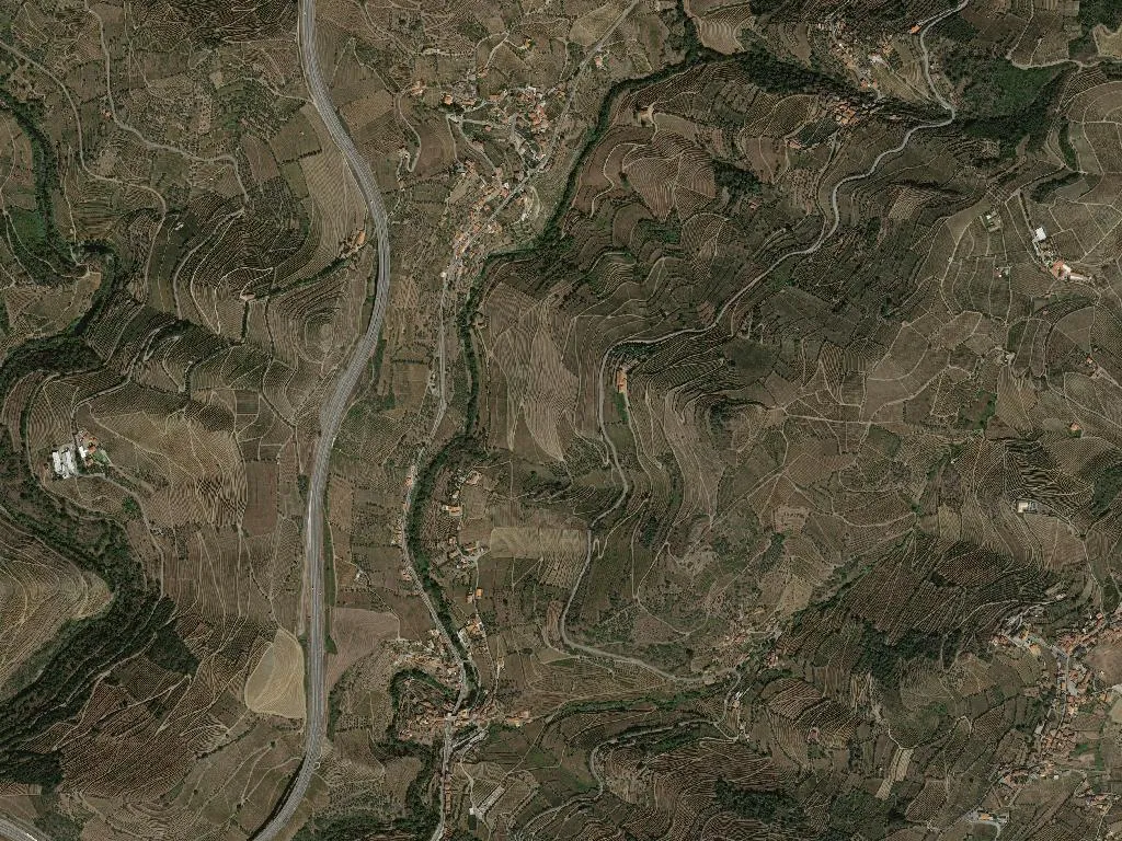 Vilarinho dos Freires